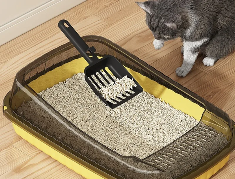 Hộp đựng rác cho mèo GRS PP có thể giải quyết được nỗi thất vọng lớn nhất của những người nuôi mèo không?